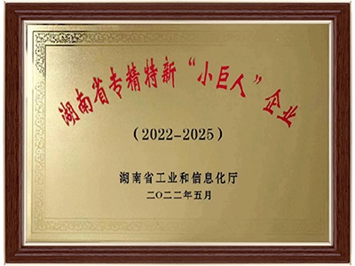 湖南省專(zhuān)精特新“小巨人”企業(yè)