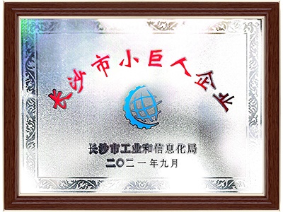 長沙市小巨人企業